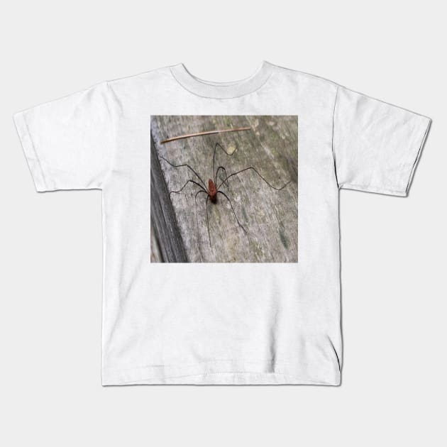 A Daddy Long Leg Spider Kids T-Shirt by Seven Mustard Seeds